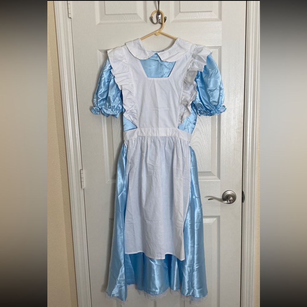 Alice in Wonderland Dress